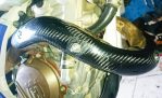 Jual Protector guard knalpot carbon anti panas  ktm / husqvarna 250/350 cc 4t tahun 2017/19 Rp 950.000 wa 0878.89.100.200/0815.1332.5316